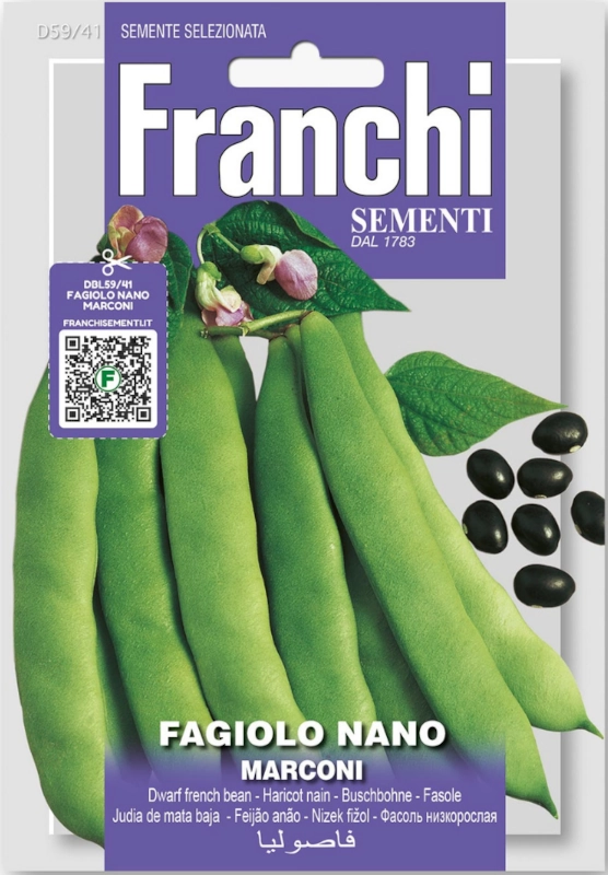 Fasola karłowa Marconi Nano na suche nasiona vis 50g FRANCHI sklep rajogrodnika